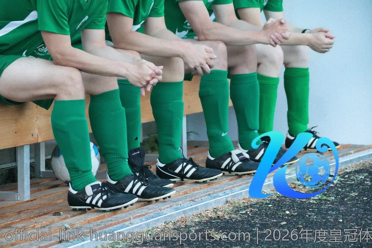 2026年度皇冠体育排行榜,了解谁才是佼佼者